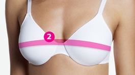 How to Measure Your Bra Size: A Comprehensive Guide To Perfect Bra Fit -  HauteFlair